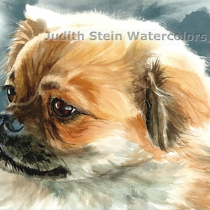 Tibetan Spaniel, Tibbie, AKC Non Sporting, Pet Portrait Dog Art Watercolor Painting Print, Wall Art, Home Decor, &quot;Friends in High Places&quot;