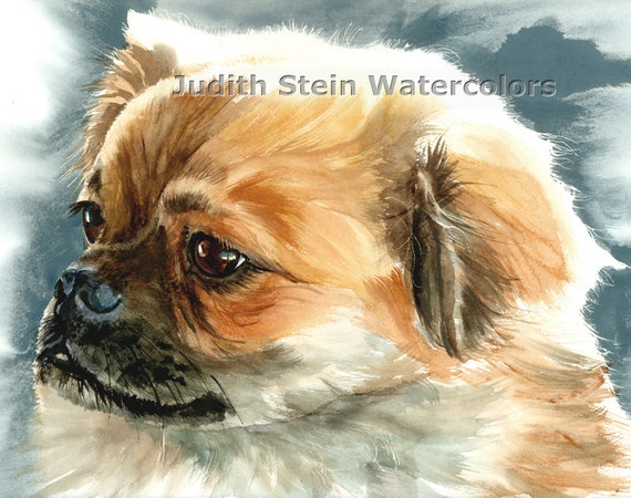 Tibetan Spaniel Umbrella - Tan Tibetan Spaniel Umbrella - Tan