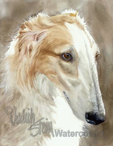 Borzoi Russian Wolfhound Fawn White Akc Hound Pet Portrait Etsy