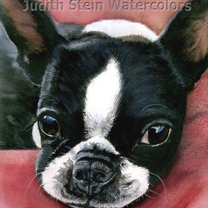 Boston Terrier, Black & White Tuxedo, AKC Non Sporting, Pet Portrait Dog Art Watercolor Painting Print, Wall Art, Home Decor, "Betti"