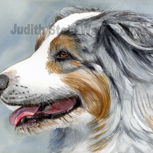 Australian Shepherd, AKC Herding, Pet Portrait Dog Art Watercolor Painting Print, Wall Art, Home Decor &quot;Blue Merle Aussie&quot; Judith Stein