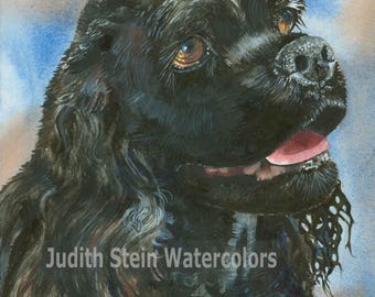 Cocker Spaniel, American, Black, AKC Sporting, Pet Portrait Dog Art Watercolor Painting Print, Wall Art, Home Decor, &quot;Raven&quot; Judith Stein