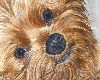 Yorkshire Terrier, Yorkie, AKC Toy, Pet Portrait Dog Art Watercolor Painting Print Picture, Wall Art, Home Decor, "Fifi" Judith Stein