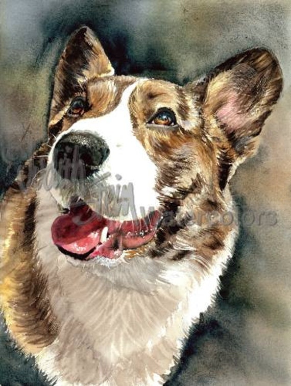 Cardigan Welsh Corgi Series Blue Merle Canvas Print Cardigan Welsh Corgi Series Blue Merle Canvas Print