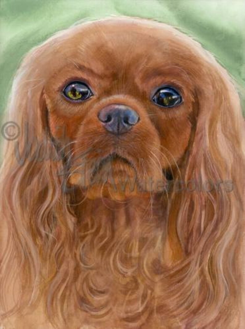 ruby cavalier king charles spaniel figurines