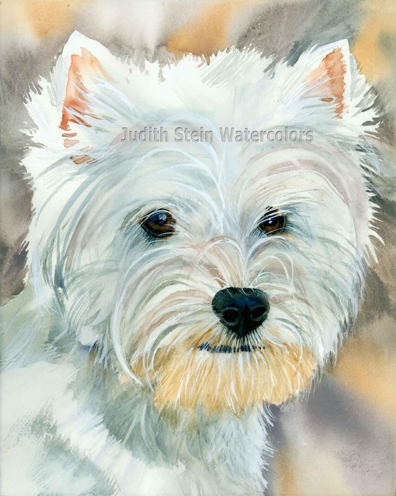 West Highland Terrier, AKC, Pet Portrait Dog Art, Giclee