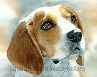 Beagle, Foxhound, AKC Hound, Pet Portrait Dog Art Watercolor Painting Art Print, Wall Art, Home Decor "Dog Tired" k9stein, Judith Stein