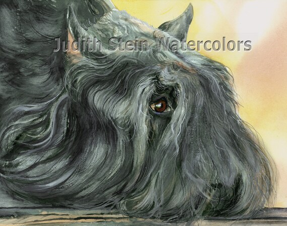 Bouvier des Flanders Umbrella -Logan Auto Open Bouvier des Flanders Umbrella -Logan Auto Open