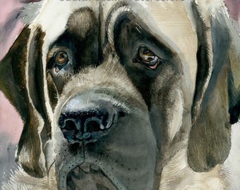 English Mastiff, AKC Working, Pet Portrait Dog Watercolor Painting Art Print, Wall Art, Home Decor, &quot;Masty&quot; Judith Stein, k9stein