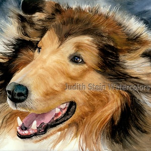 May include: Watercolor painting of a brown and white Collie dog with its mouth open and tongue sticking out. The dog's fur is blowing in the wind. The painting is signed "Judith Stein Watercolors".