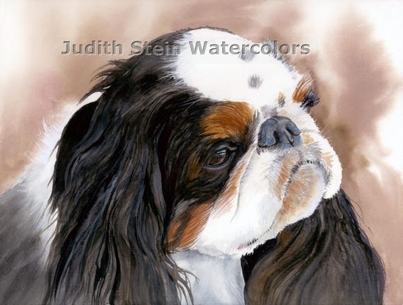 English Toy Spaniel, Tri Color, AKC Toy, Pet Portrait Dog Art