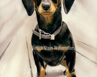 Dachshund, Smooth Coat, Doxie, Weiner, AKC Hound, Pet Portrait Dog Art Watercolor Painting Art Print, Wall Art, Home Decor "Sammy" k9stein