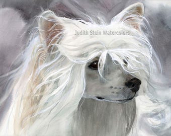 Chinese Crested, AKC Toy, Lap, Pet Portrait Dog Art Giclee Watercolor Painting Print, Wall Art, Home Decor, "Powder Puff Girl" Judith Stein