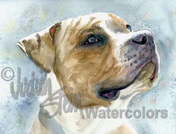 American Pit Bull Terrier Pittie Marron Blanco Mascota Etsy