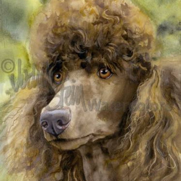 Poodle Standard Brown, cafe au lait, AKC Non Sporting, Pet Portrait Dog Art Watercolor Painting Print, Wall Art, Home Decor, "Truffle Face"