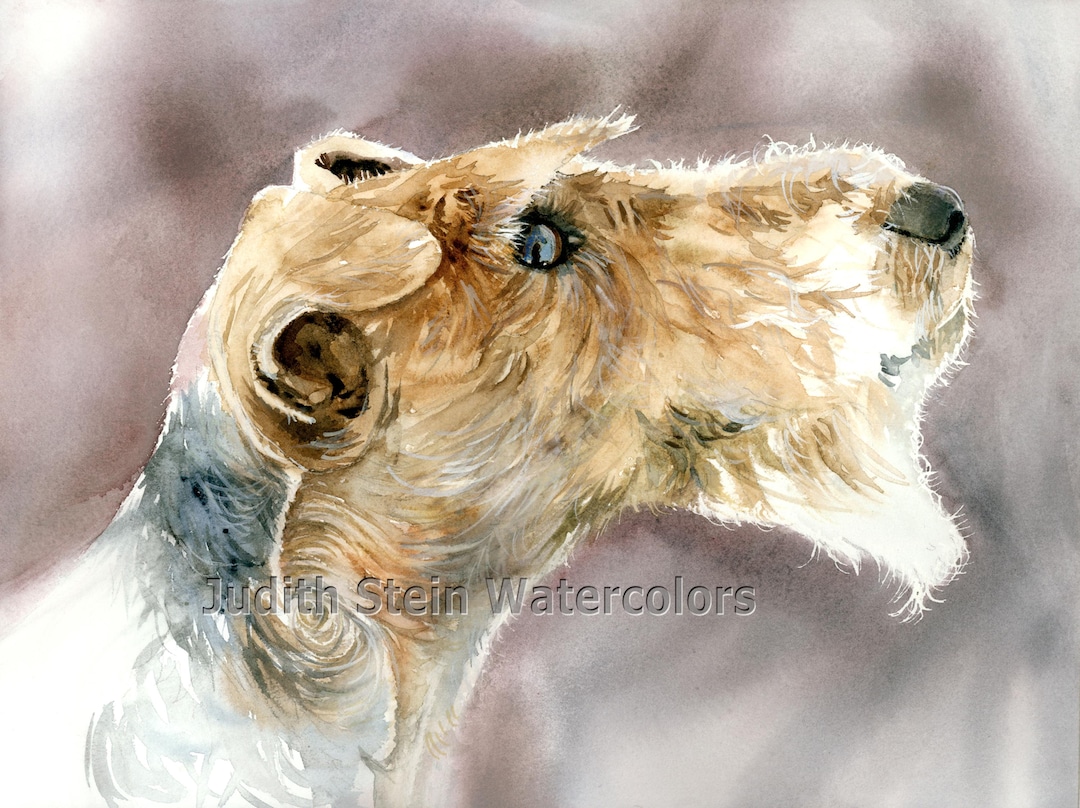 Sky Wire Fox Terrier Show Dog Fox Westminster Dog Show Outlet