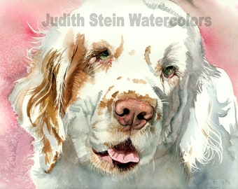 Clumber Spaniel, Tan & White, Alpine, AKC Sporting, Pet Portrait Dog Art Watercolor Painting Print, Wall Art, Home Decor, &quot;Clumber Slumber&quot;