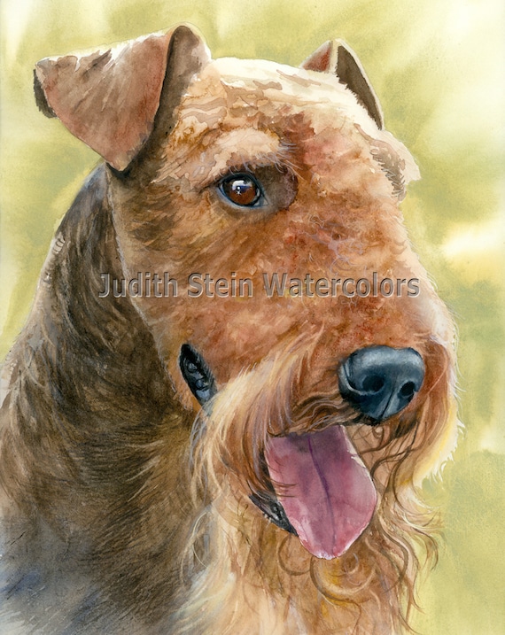 Airedale Terrier AKC Terrier Pet Portrait Dog Art Watercolor