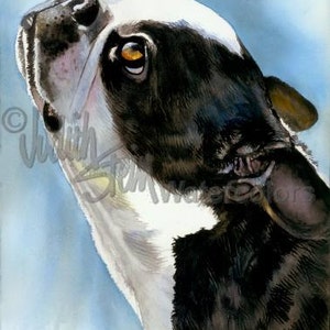 Boston Terrier AKC Terrier, Pet Portrait Dog Art, Watercolor Painting Print, Wall Art, Home Decor, "Here's Looking at You" by Judith Stein