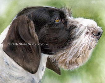German Wire Haired Pointer, Wire Hair, AKC Sporting, Hunting Gun Dog, Pet Portrait Watercolor Painting Print, Wall Art, Home Decor, "GWP"