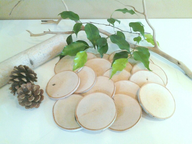 Birch Logs Rustic Wedding Decor Name Tags Diy Projects Save The Date 50 3 Natural White Birch Tree Slices Wood Tree Slices Wood Craft Supplies Tools Lifepharmafze Com