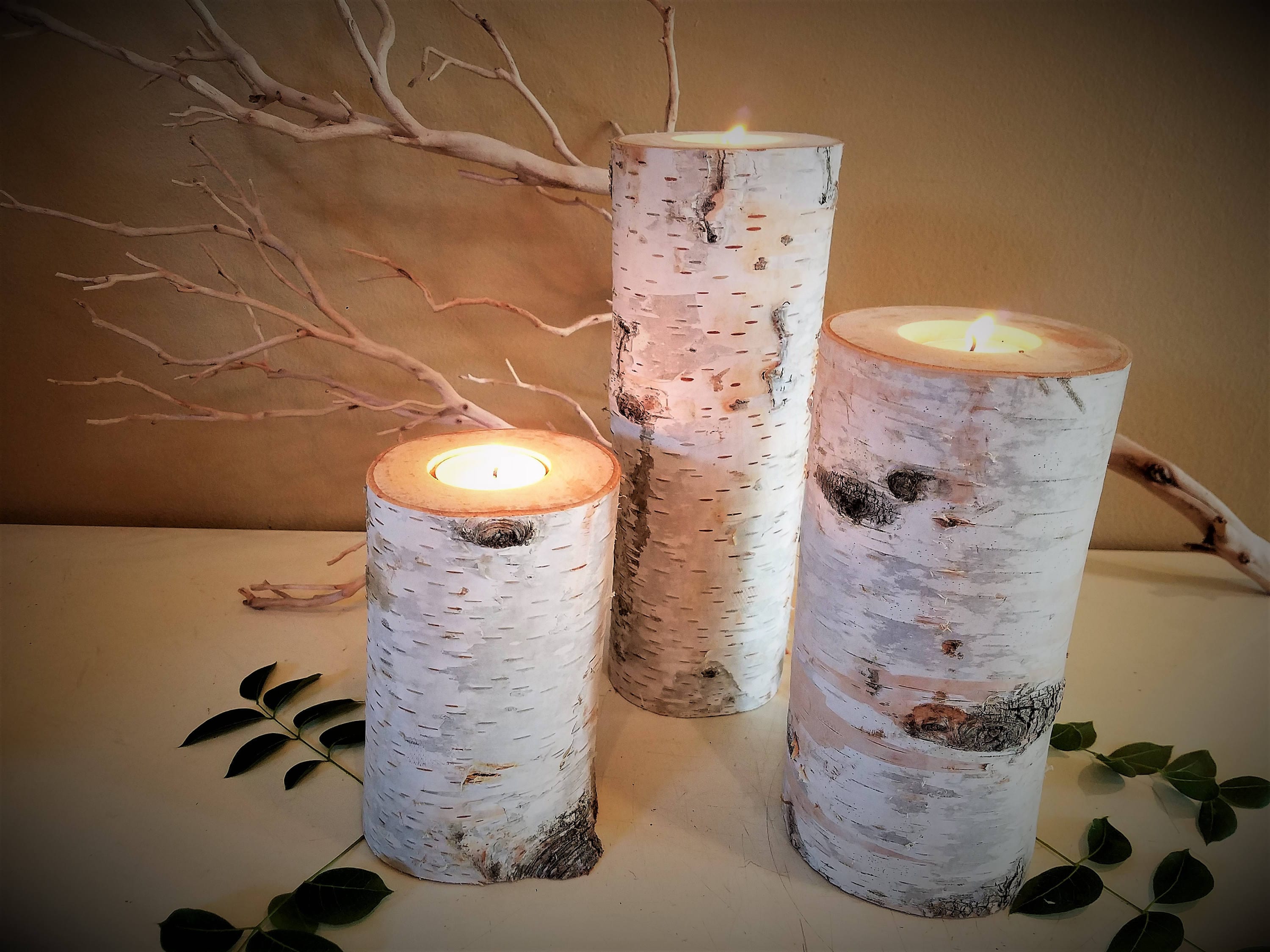 3 Tall Birch Candle holders Birch tree candles Birch logs Etsy
