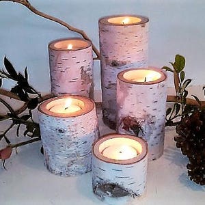 5 Birch Tree branch candle holders - Holiday candles - Rustic wedding candles - Wood tree branch candles - Birch tree logs - Event candles