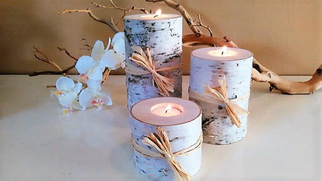 3 Birch Tree Branch Candle Holders, White Birch Candles, Birch Candle
