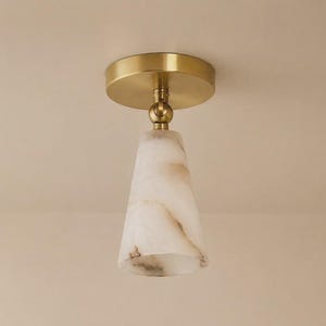 May include: A ceiling light fixture with a brass-colored base and a conical shade. The shade is made of a translucent, off-white material with brown veining. The fixture is mounted on a neutral-colored ceiling.