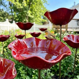 May include: A cluster of vibrant red, flower-shaped bird baths in a garden setting. Each bath is filled with water, and a small bird is perched on one, drinking. The baths are mounted on slender metal poles.