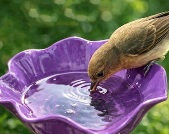 5-Color Pollinator Watering Station Stake (60cm), Outdoor Bee Water Bowl, Garden Hummingbird Feeding Decor Gift