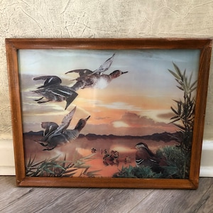 Holographic Ducks fly free