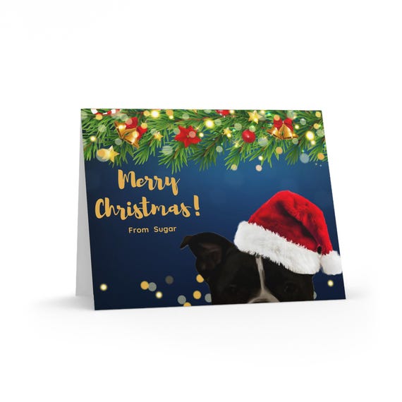 Dog in Santa Hat Greeting Card | Christmas Cards (8,16,24 pcs)