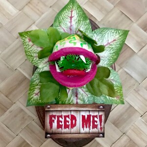 Könnte beinhalten: Eine rosa und grüne fleischfressende Pflanze mit einem zahnigen Mund und dem Schriftzug "Feed Me!" auf einem Holzschild. Die Pflanze ist von grünen Blättern mit roten Adern umgeben.