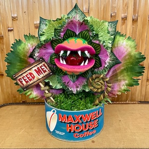 May include: A handmade plant sculpture of a carnivorous plant with a large pink mouth and teeth. The plant is in a blue and white Maxwell House coffee can with the text "Good to the Last Drop" and "Maxwell House Coffee". The plant has a sign that says "Feed Me!"