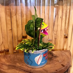 Little Shop of Horrors Audrey 2 Coffee Can Sculpture 6 inches Tall Feed Me Seymour Venus Flytrap for Tiki Oasis Halloween image 4