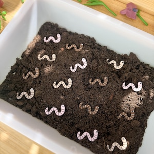 Spring - Flowers - Gardening - Worms - Birds - Sensory Play