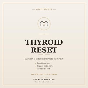 Op de afbeelding: Een digitale PDF-gids getiteld "THYROID RESET" op een crèmekleurige achtergrond. De gids belooft een trage schildklier op natuurlijke wijze te ondersteunen, de energie te stimuleren, de stofwisseling te ondersteunen en de oorzaak aan te pakken. De gids is van VITALISARCHIVE.