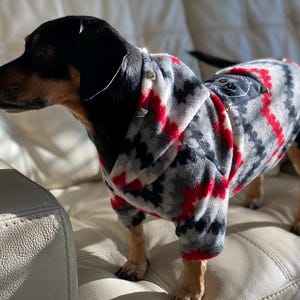 Punk rock Dog Park Hooligans print fleece dog hoodies. Chose your fabric!