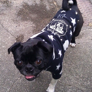 Dog Park Hooligans Punk rock puppy. Pirate skull and stars fleece dog hoodie image 1