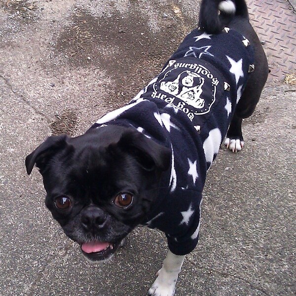 Dog Park Hooligans Punk rock puppy.  Pirate skull and stars fleece dog hoodie