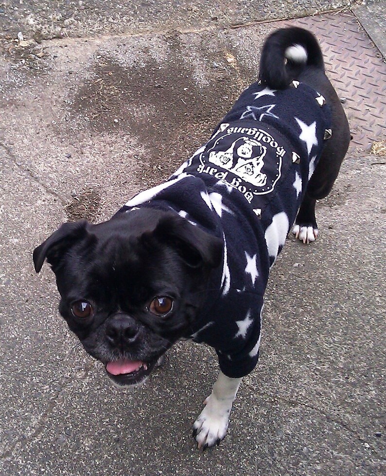 Dog Park Hooligans Punk rock puppy. Pirate skull and stars fleece dog hoodie image 1