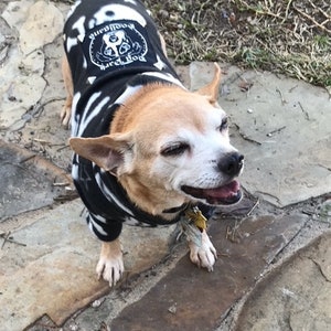 Dog Park Hooligans Punk rock puppy. Pirate skull and stars fleece dog hoodie image 2