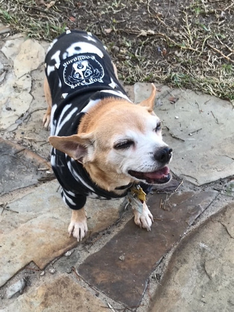 Dog Park Hooligans Punk rock puppy. Pirate skull and stars fleece dog hoodie image 2