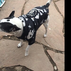 Dog Park Hooligans Punk rock puppy. Pirate skull and stars fleece dog hoodie image 3