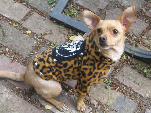 punk rock dog clothes