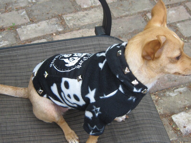 Dog Park Hooligans Punk rock puppy. Pirate skull and stars fleece dog hoodie image 6