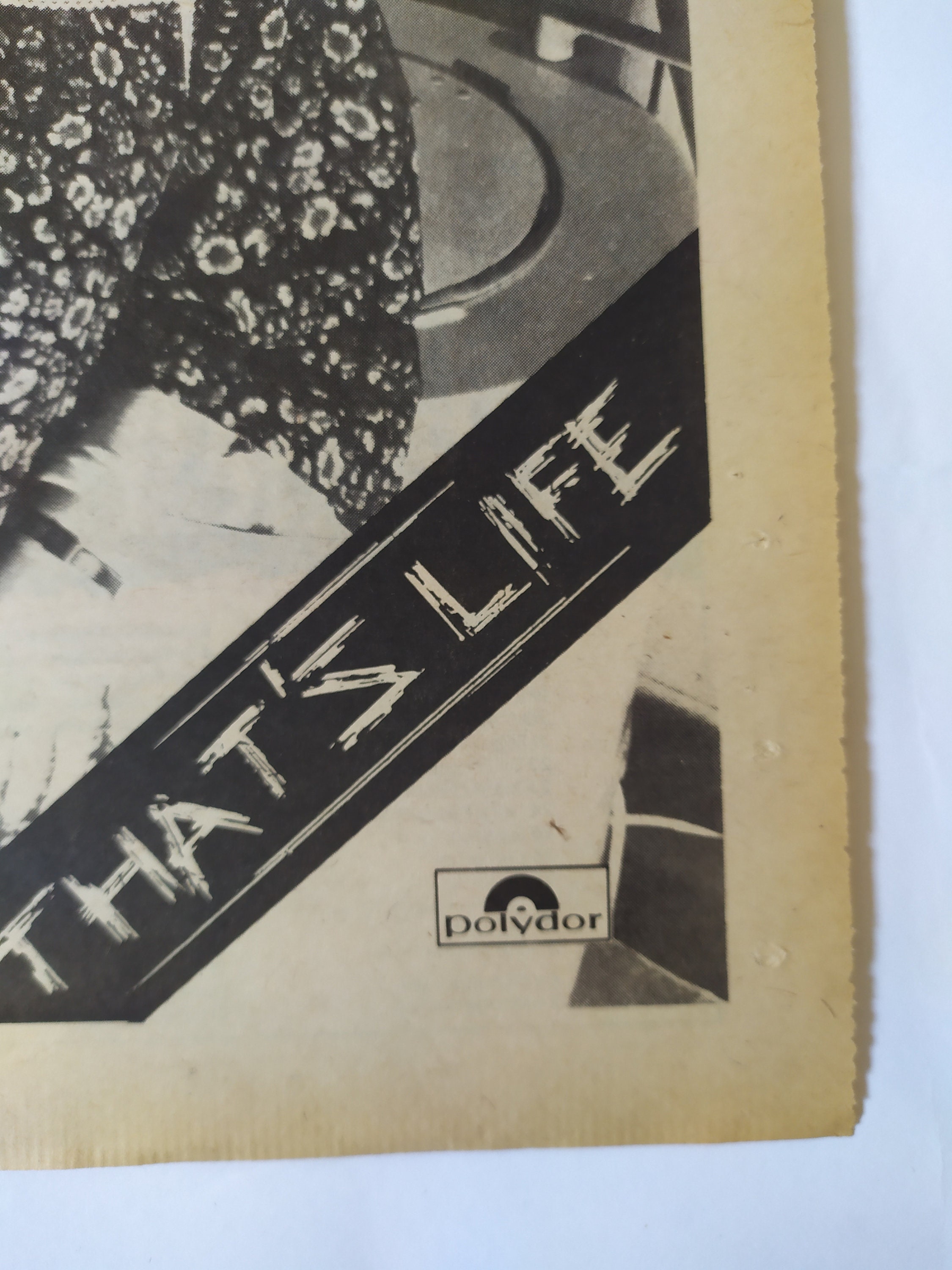Original 1978 Sham 69 Advert/poster, Rare Vintage Poster Sham 69