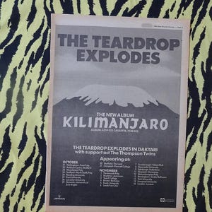 Può includere: Un poster di un concerto vintage per l'album "Kilimanjaro" dei The Teardrop Explodes. Il poster presenta il nome della band in testo grande sopra un'immagine di una montagna. Sono elencate anche le date del tour e The Thompson Twins.