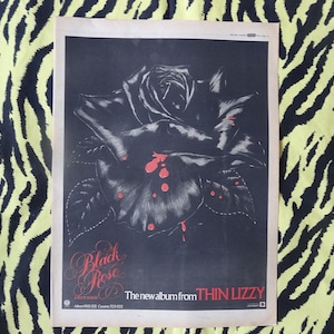 Original 1979 Thin Lizzy Advert/Poster, Rare Vintage Poster, Thin Lizzy &quot;Black Rose&quot; LP Rock Poster, Hard rock punk, Vintage Phil Lynott